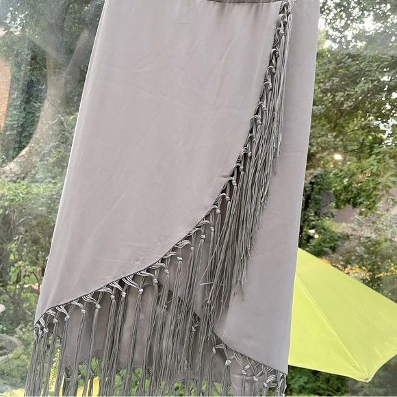Gray Silver Fringe Dress Naked Zebra - Picture 3 of 4